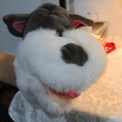 Sale Photo Thumbnail #89: Wily Coyote, Odie, reindeer, monkey, sock monkey, dog, stuffed Smiley , kangaroo & dog puppets