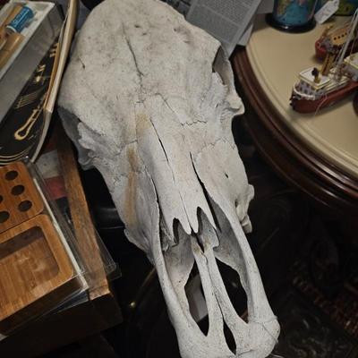 Sale Photo Thumbnail #595