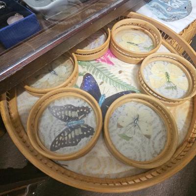 Sale Photo Thumbnail #1016