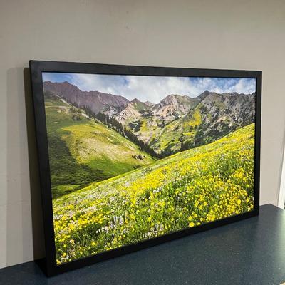 Sale Photo Thumbnail #107