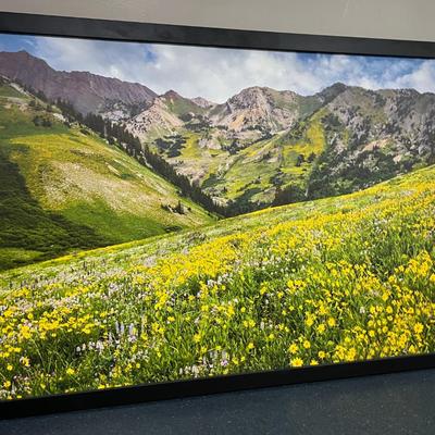 Sale Photo Thumbnail #106