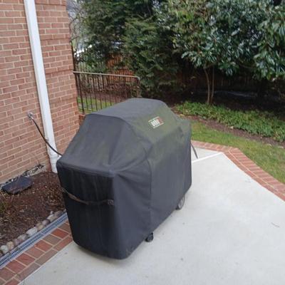 weber gas grill $295 starting price