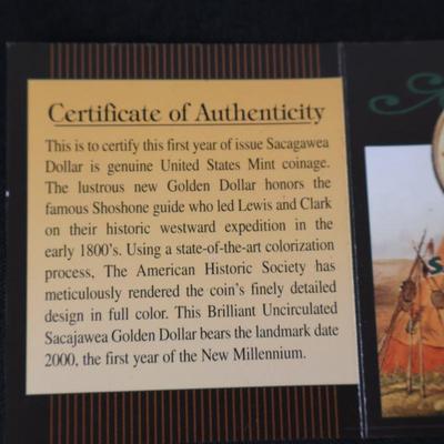 2000 Sacagawea Golden Dollar in Color