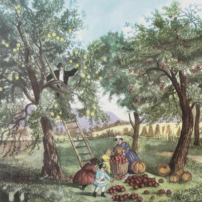 Sale Photo Thumbnail #139