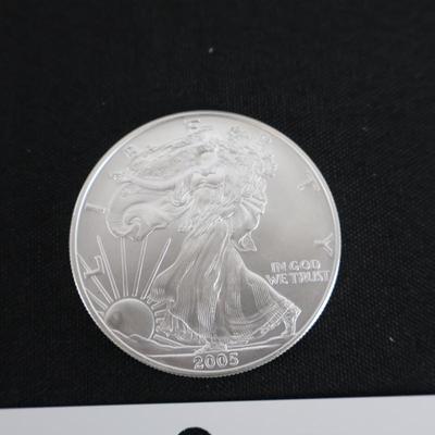 2005 Walking Liberty Coin - 1 oz Silver