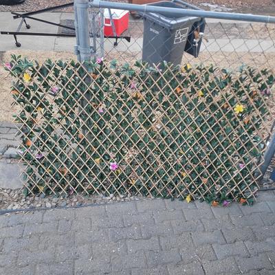 Sale Photo Thumbnail #699: You can see how they can be anything from square to long and narrow