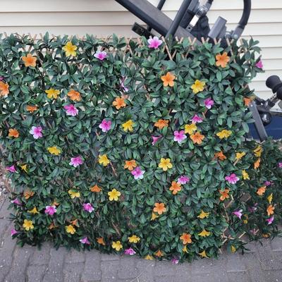 Sale Photo Thumbnail #696: You can see how they can be anything from square to long and narrow