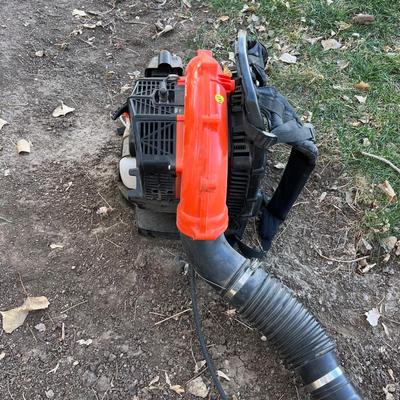  Shed - ECHO Back Pack Blower NEW THIS YEAR