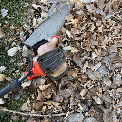  Shed - ECHO Weed Eater with Attachments Has Compression