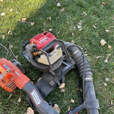  Shed - Leaf Blowers  (2) 