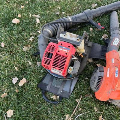  Shed - Leaf Blowers  (2) 