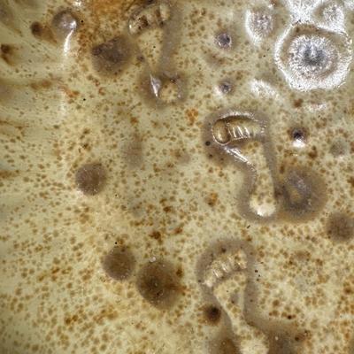 Artist signed pottery chip & dip piece!