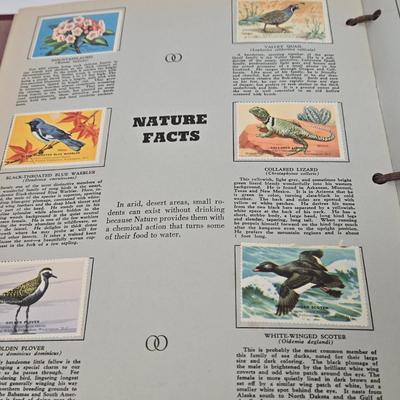 Sale Photo Thumbnail #449