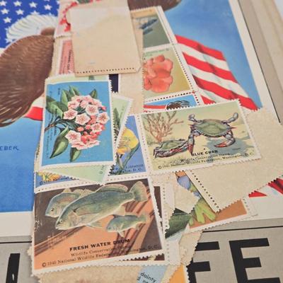 Sale Photo Thumbnail #447