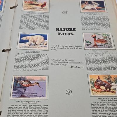 Sale Photo Thumbnail #448