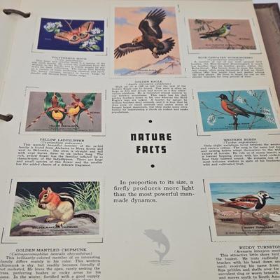 Sale Photo Thumbnail #450