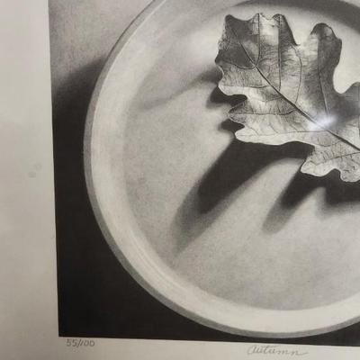 Sale Photo Thumbnail #785: Gorgeous pencil drawing from local artist Dave Midgarden.