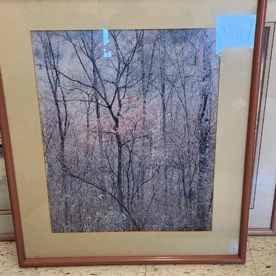 Lot of large framed prints