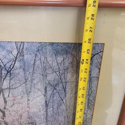 Lot of large framed prints