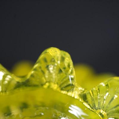 Sale Photo Thumbnail #40: 1890's Lady Caroline pattern creamer and sugar
yellow pattern glass 
opalecent rim
Height of the creamer is 2"
Height of the sugar bowl 2 1/2"

Condition: the creamer has severl areas of surface cracks due to temperature changes or stress cracks.I please 