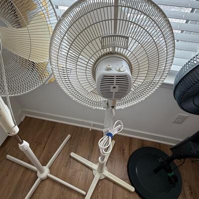 Oscillating fan lot (3)