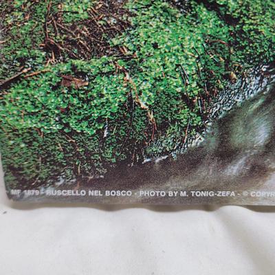 Sale Photo Thumbnail #1158: Note the plastic bins are each missing a clip. Hang the print in your window instead of going on vacation, huge moneysaver