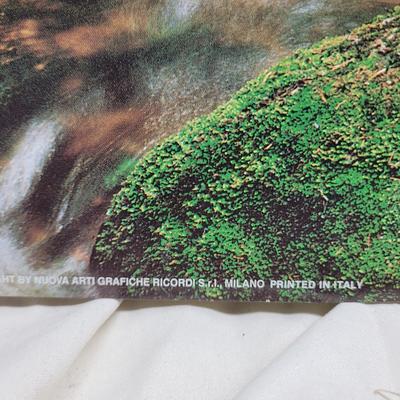 Sale Photo Thumbnail #1159: Note the plastic bins are each missing a clip. Hang the print in your window instead of going on vacation, huge moneysaver