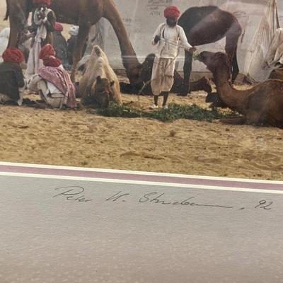 “Morning in the Dessert”