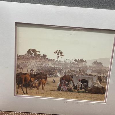 “Morning in the Dessert”