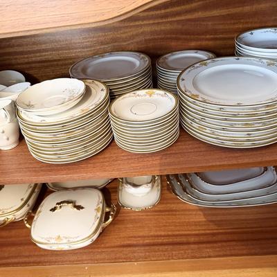 Limoges Vignaud VIG2 Fine China Set