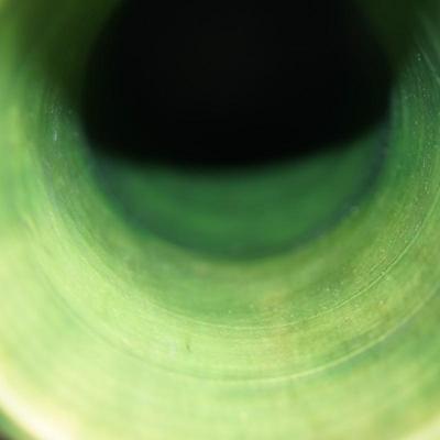 Sale Photo Thumbnail #177: a 12" vintaGE cyclinder form vase. matt green slip glaze with yellow color. 
The base is a yellow clay glazed. 
no markings found. 
Good condition. a few factory flaws along the top edge but these are not chips. 
Very classic looking piece.