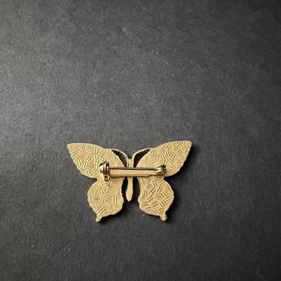 Beautiful colorful butterfly pin