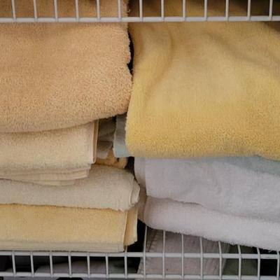 LOT 35M Towel Closet Lot