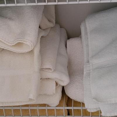 LOT 35M Towel Closet Lot