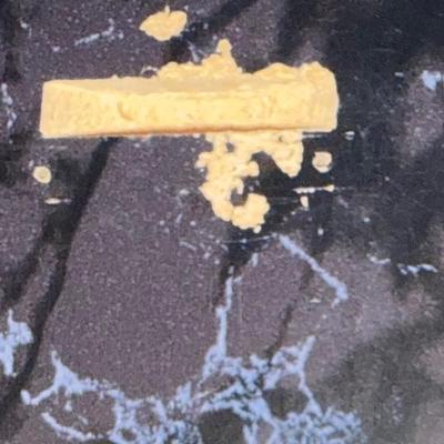 Vintage Star Trek The Next Generation Signed Photo Plaque