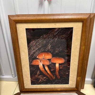 Sale Photo Thumbnail #99: See photos