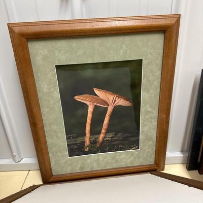 Sale Photo Thumbnail #100: See photos