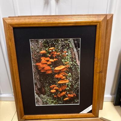 Sale Photo Thumbnail #98: See photos