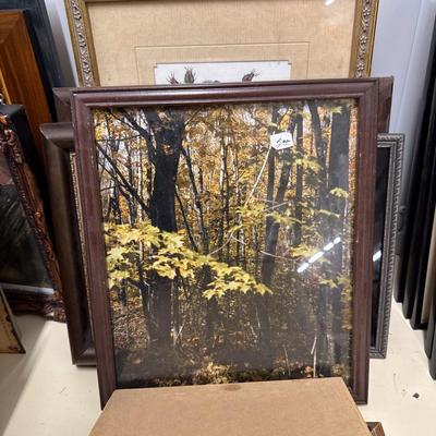 Sale Photo Thumbnail #120: See photos