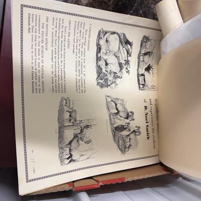 Sale Photo Thumbnail #167: Ads, old panoramic photos (poor condition), etc.