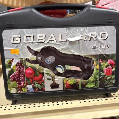 Global Guard pruner