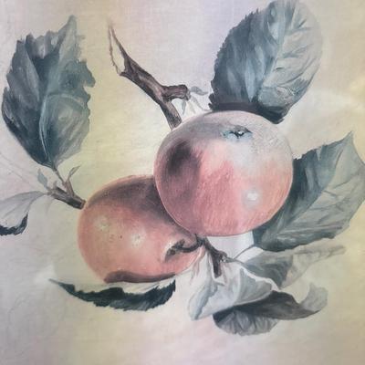 Sale Photo Thumbnail #8: Awesome frames! 19.5 x 23.5