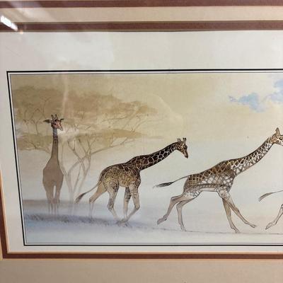 Sale Photo Thumbnail #19: 29.5 x 24