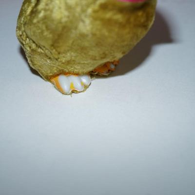 Sale Photo Thumbnail #236: three  chicks covered with a felt fabric , very soft, silk florals and ribbon . little black bead eyes.  and decorated with ribbon and other. The base is a hard white plastic. 
1940- 1950's? 
felt is missing on a few of the feet. two of the beaks have a l