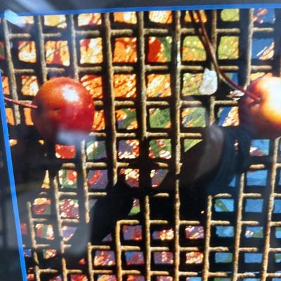 Sale Photo Thumbnail #110: 17x21.5