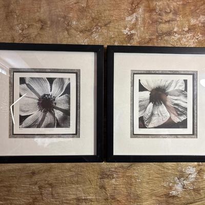 Sale Photo Thumbnail #121: Beautiful, black and white prints with nice Mattes & frames. 21x21
