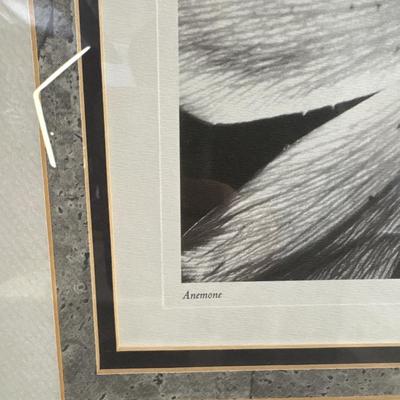 Sale Photo Thumbnail #124: Beautiful, black and white prints with nice Mattes & frames. 21x21