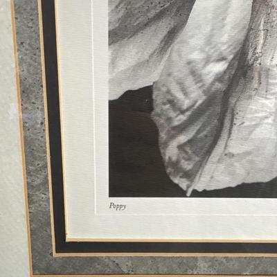 Sale Photo Thumbnail #125: Beautiful, black and white prints with nice Mattes & frames. 21x21