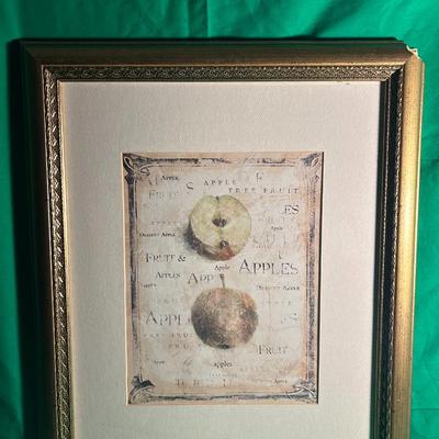Sale Photo Thumbnail #54: Framed botanical print featuring apples with a vintage-style background. The piece is set in a gold-toned decorative frame and double-matted in beige and cream tones. The artwork showcases detailed typography and illustrations reminiscent of antique botan