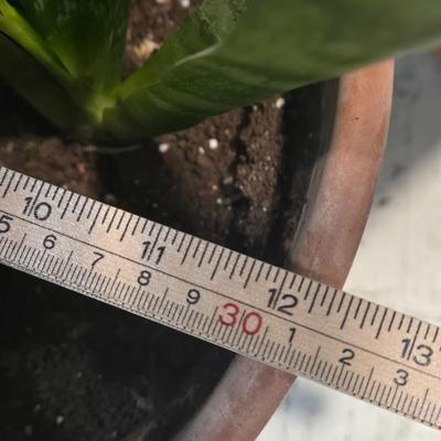 Sale Photo Thumbnail #426